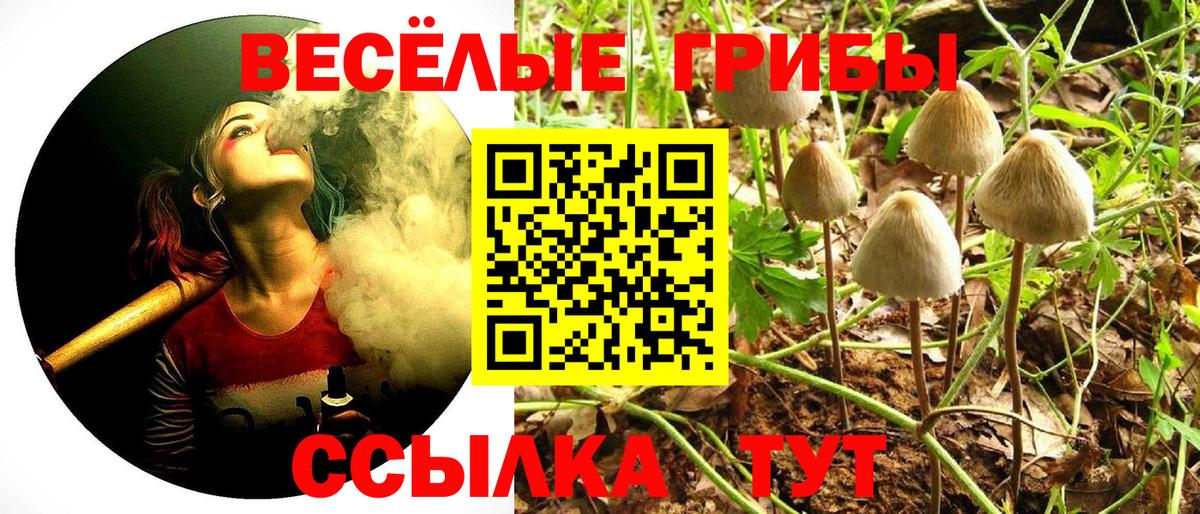 Новокубанск  Псилоцибиновые грибы мухоморы  где можно купить наркотик  Вход с VPN 
