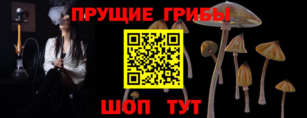 Галлюциногенные грибы Magic Shrooms Новокубанск